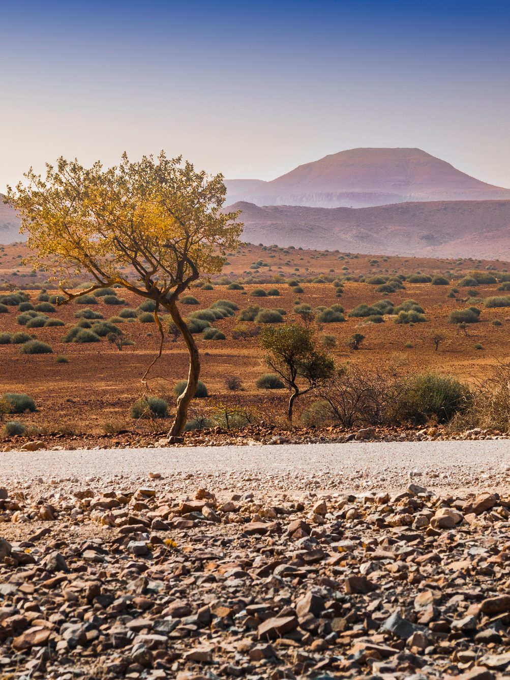 Landschaft im Damaraland